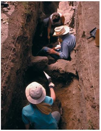 An archaeological excavation at Eldon Pueblo in Coconino National Forest in Arizona. (Reproduced by permission of The Stock Market.)
