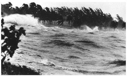 Winds from a 1945 hurricane in Florida. (Reproduced courtesy of the Library of Congress.)